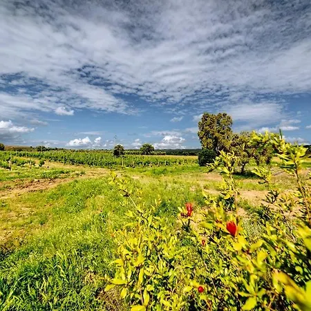 Séjour à la ferme Agriturismo Bio Podere 109