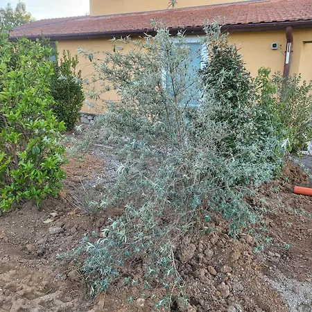 Séjour à la ferme Agriturismo Bio Podere 109